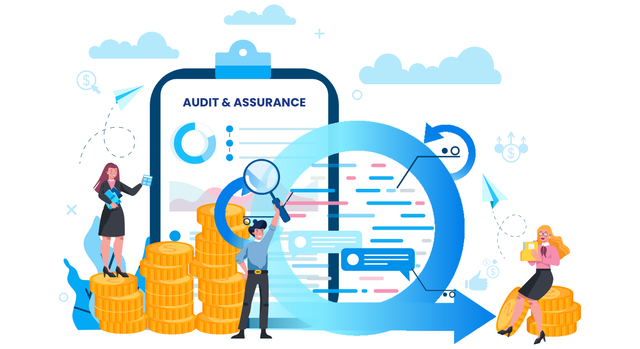 audit_and_ansurance