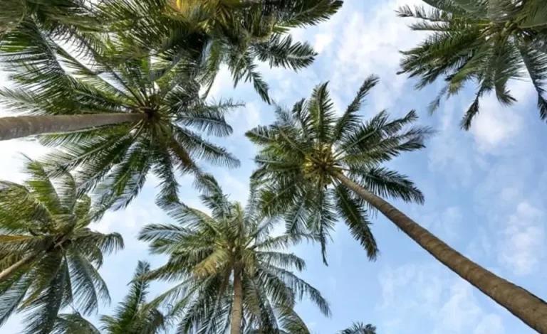 2018-mipim-alliott-group