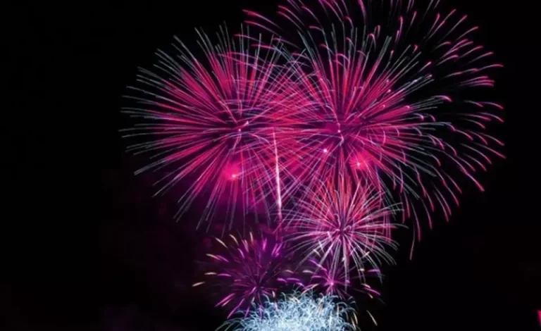 award-winning-new-zealand-accountants-alliott-nz