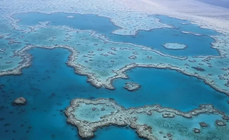 common-reporting-standard-australia