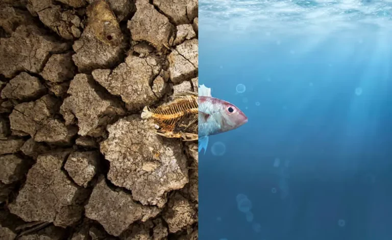 evolution_changing-culture