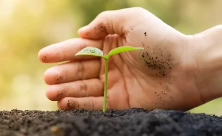 image-rights-registration-guernsey