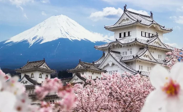 japan-employee-dismissal-rules-laws-spring-partners-law-firm-tokyo