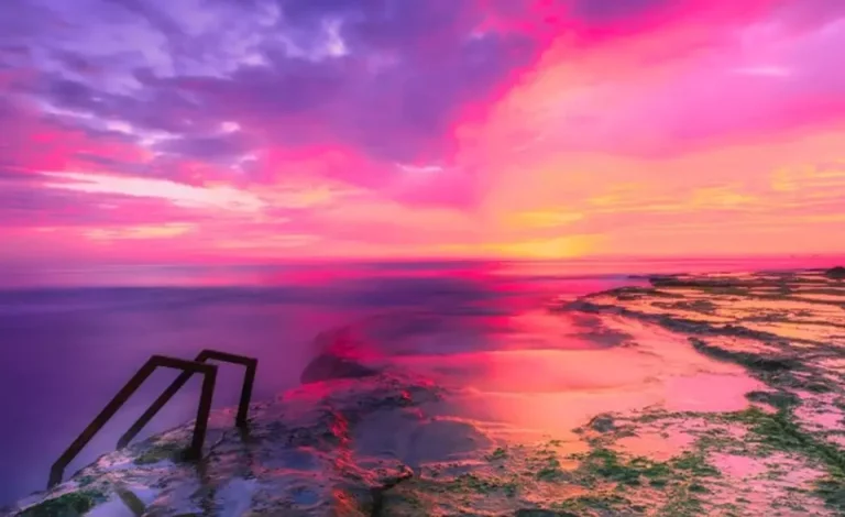 networking-and-ladders