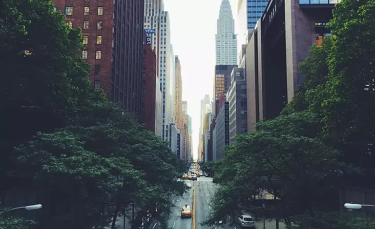 new-york-law-firm-promotion