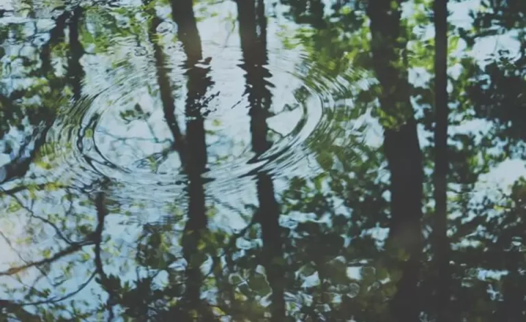 private-client-services-guildford-alliotts