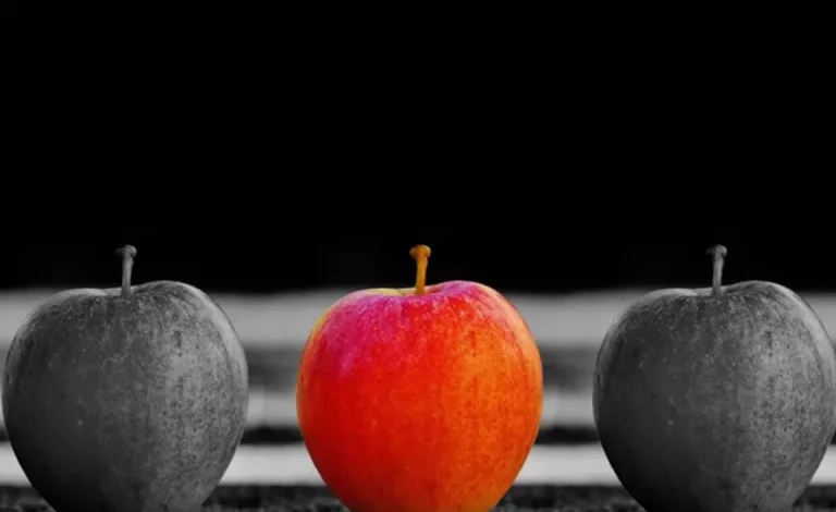 why-professional-firms-must-be-experts